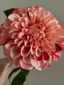 zijdenbloemen,dahlia,mauve